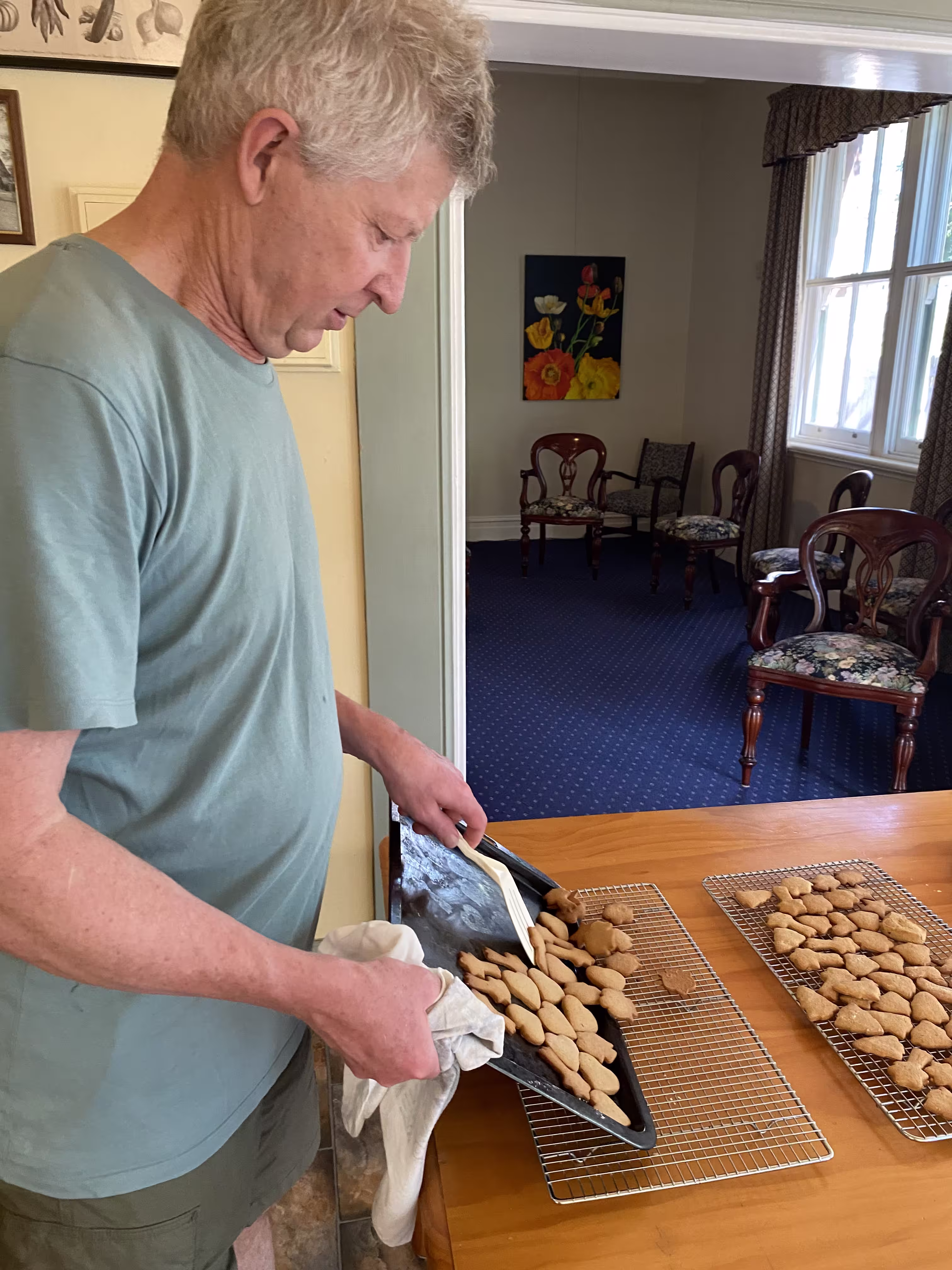 Photo of Gingerbread Biscuits