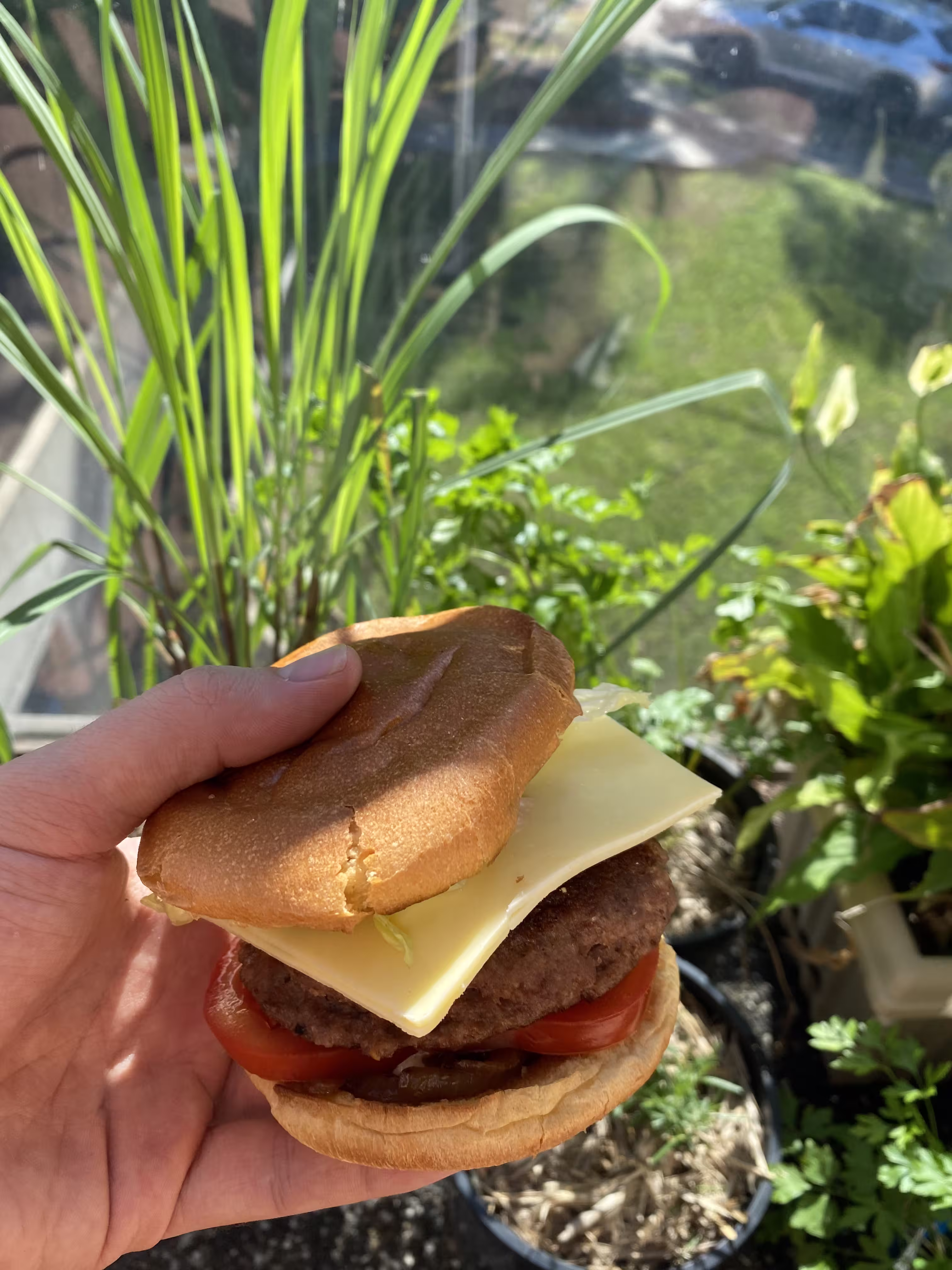 Photo of Beef Burgers
